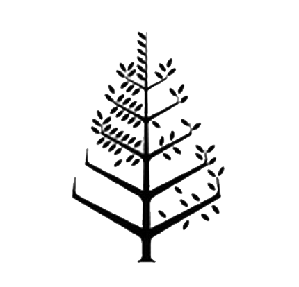四季(Four Seasons)